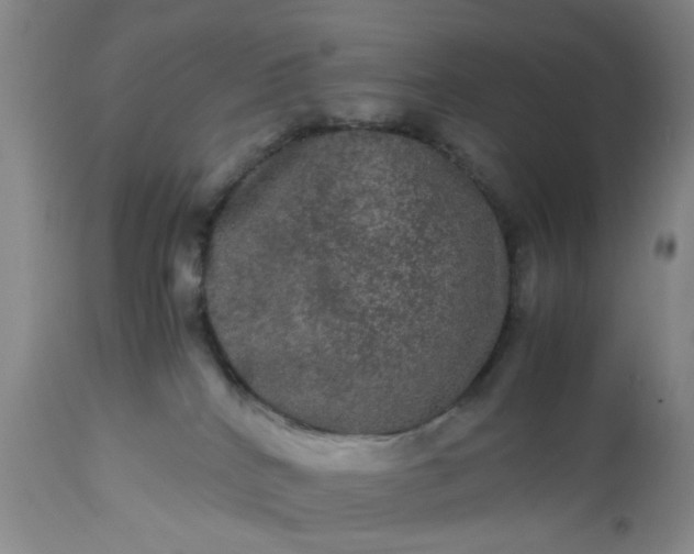 X0000113240040200909241557