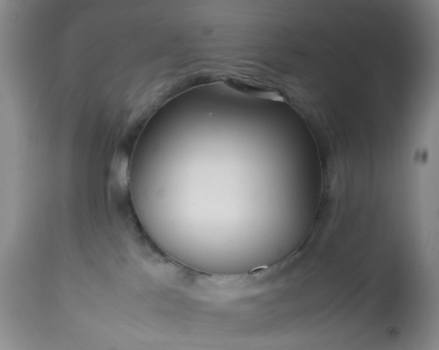 X0000113240041200909241557