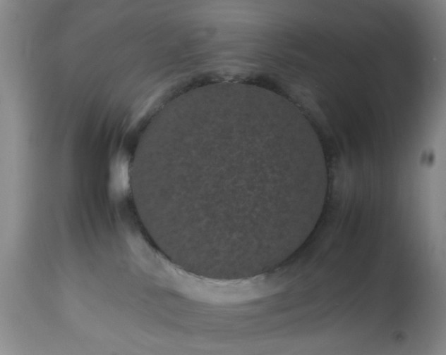 X0000113240042200909241557