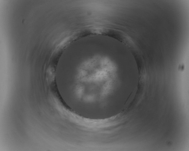 X0000113240043200909241557