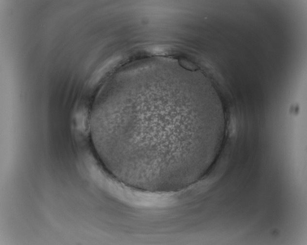 X0000113240044200909241557