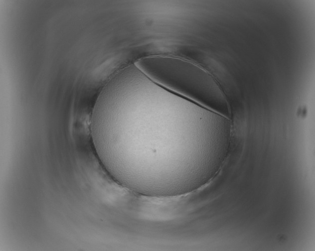 X0000113240045200909241557