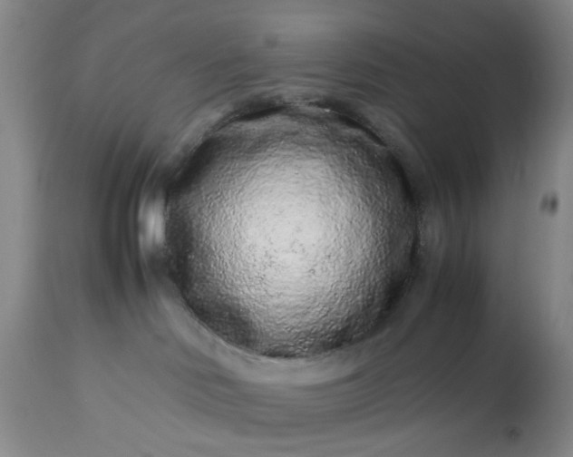 X0000113240046200909241557