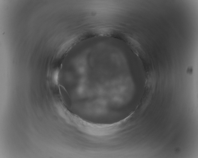 X0000113240047200909241557