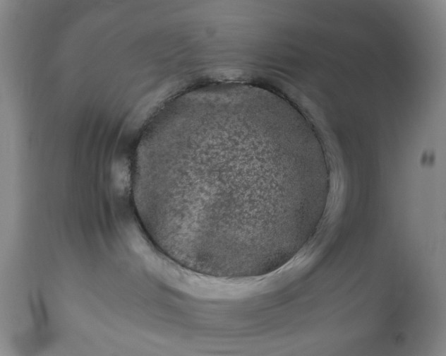 X0000113240048200909241557