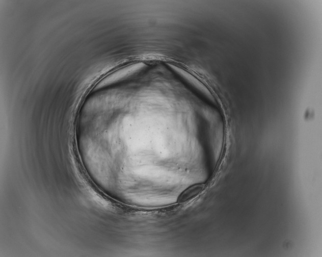 X0000113240049200909241556