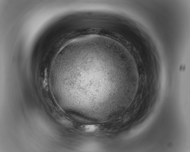 X0000113240050200909241556