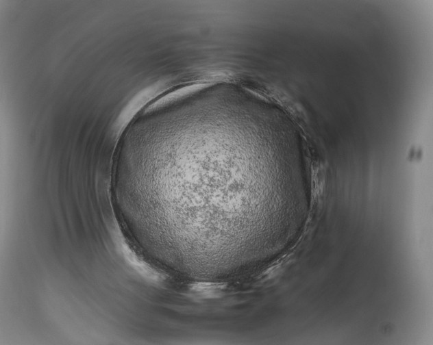 X0000113240051200909241556