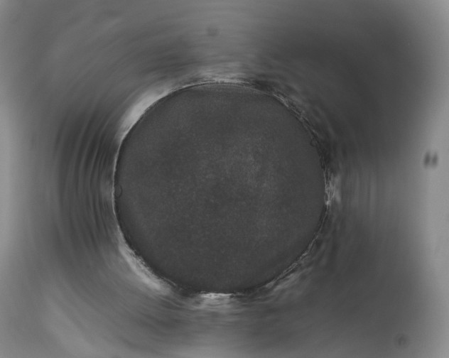 X0000113240052200909241556