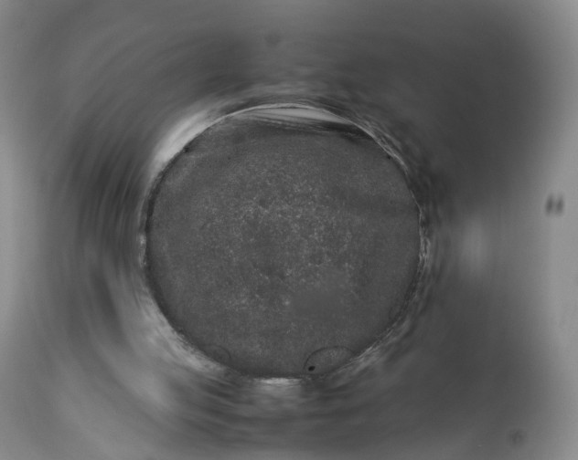 X0000113240053200909241556