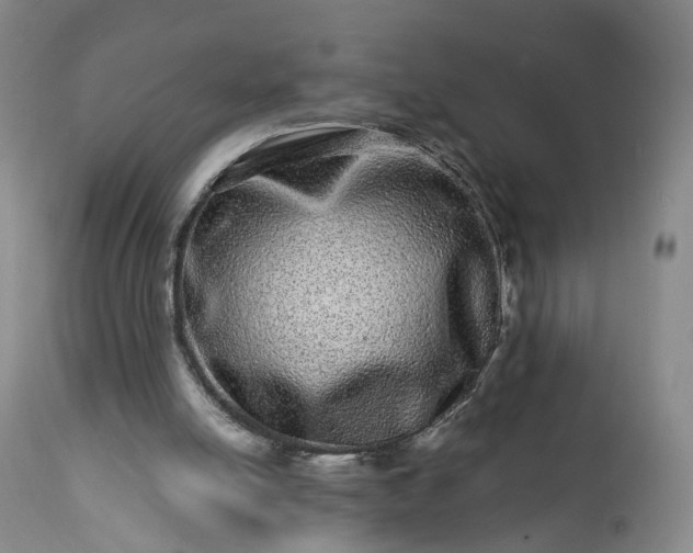 X0000113240054200909241556