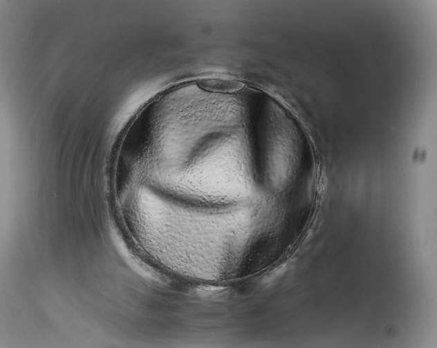 X0000113240055200909241556