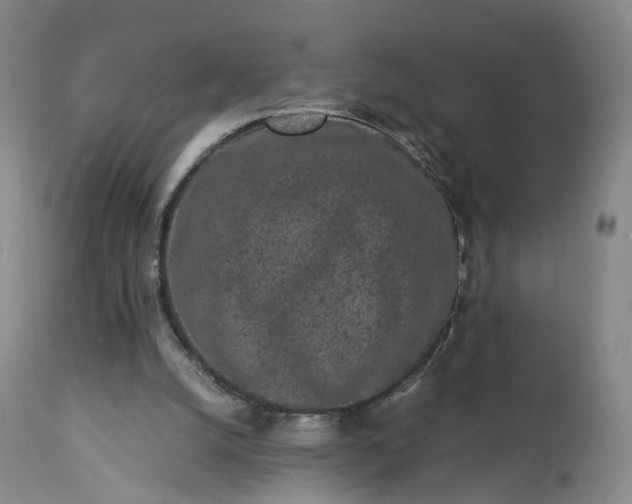 X0000113240056200909241556