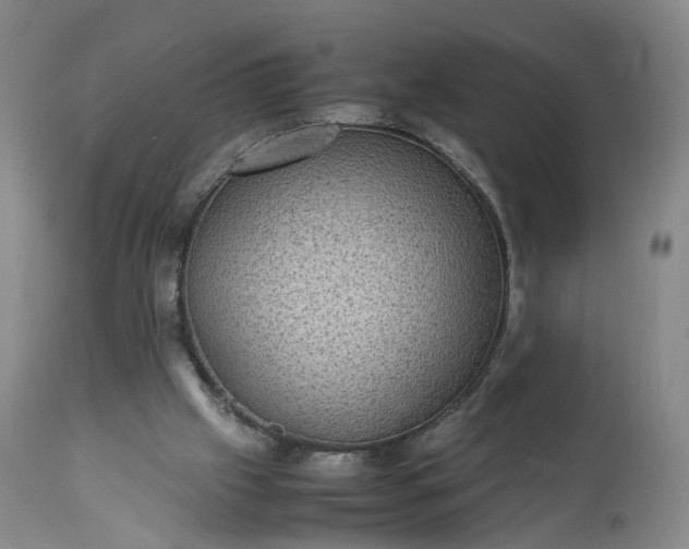 X0000113240057200909241556