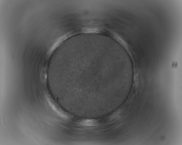 X0000113240059200909241556