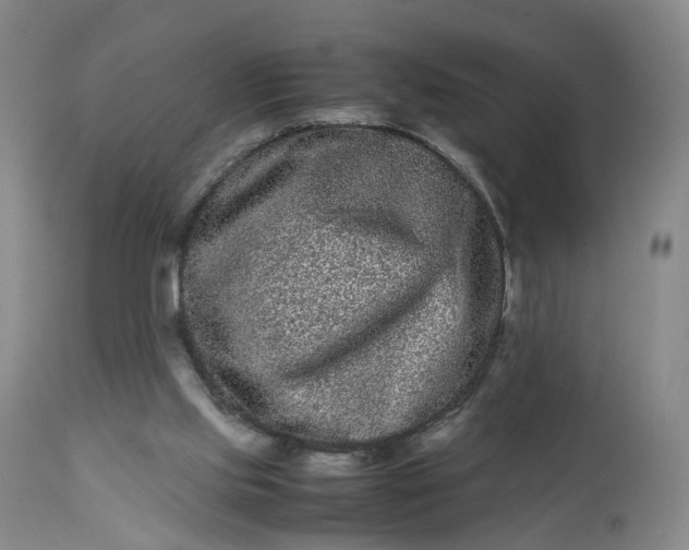 X0000113240061200909241556