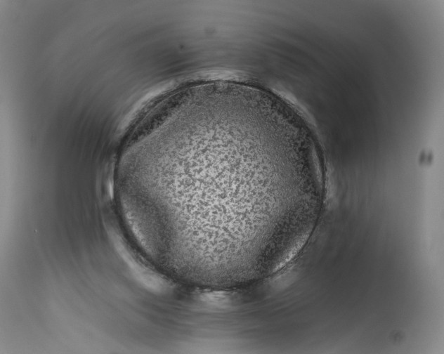 X0000113240062200909241556