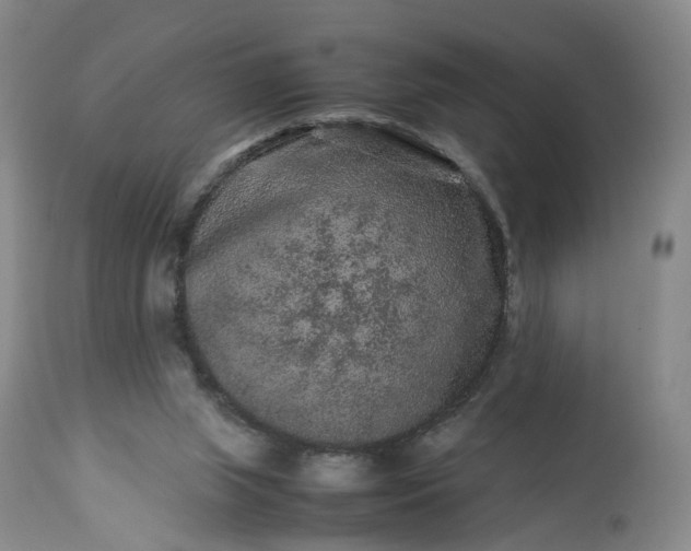 X0000113240063200909241556