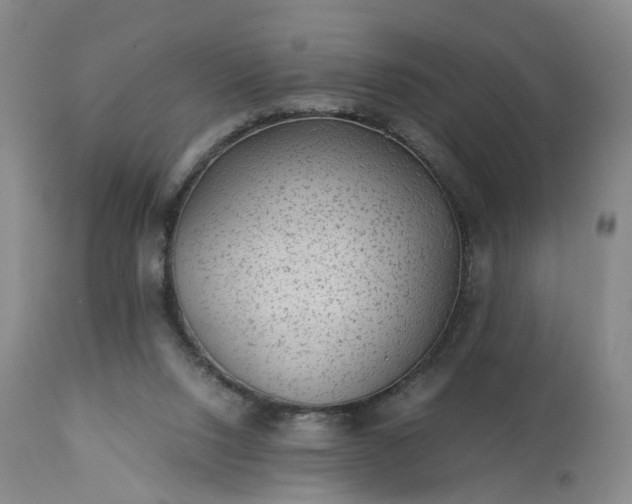 X0000113240064200909241556