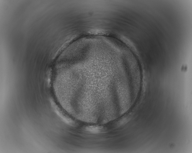 X0000113240065200909241556