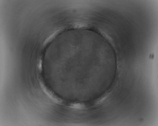 X0000113240067200909241556