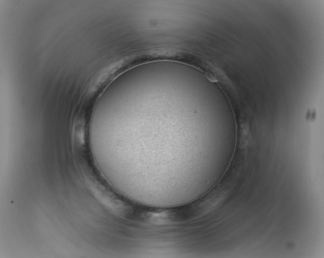 X0000113240068200909241556