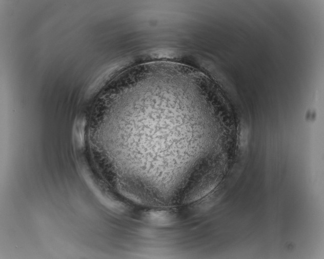 X0000113240070200909241556