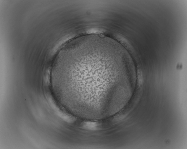 X0000113240071200909241556