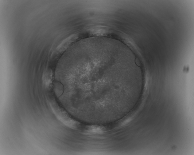 X0000113240073200909241556