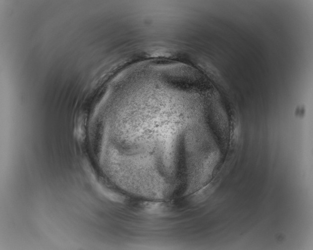 X0000113240074200909241556