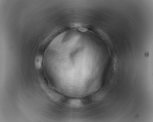 X0000113240075200909241556