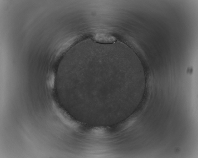 X0000113240076200909241556