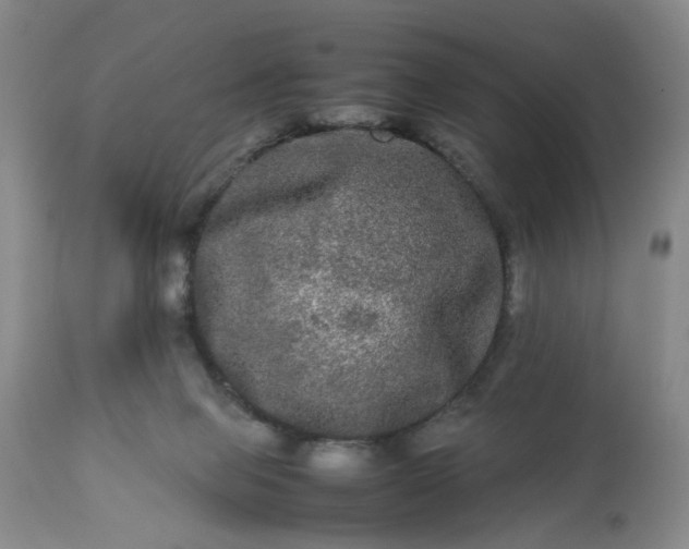 X0000113240077200909241556