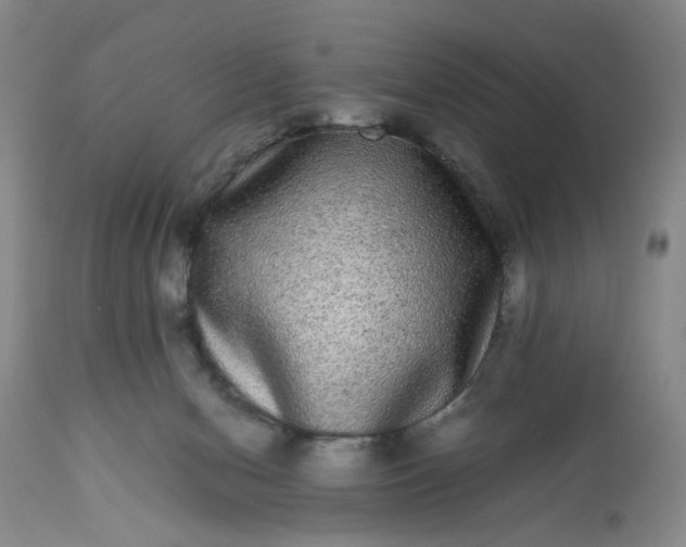 X0000113240078200909241556