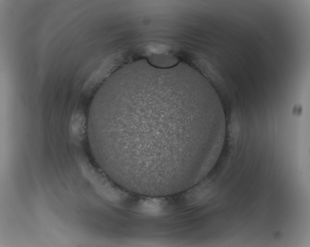 X0000113240079200909241556