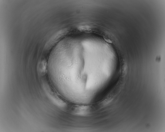 X0000113240081200909241556