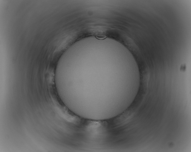 X0000113240083200909241556