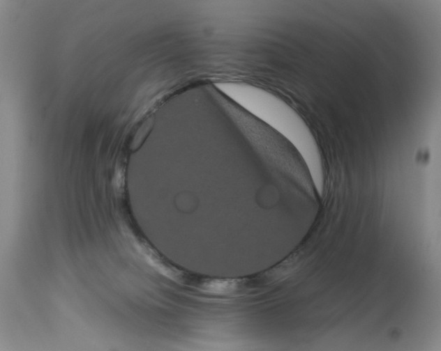 X0000113240084200909241556