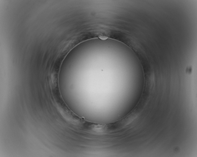 X0000113240088200909241556