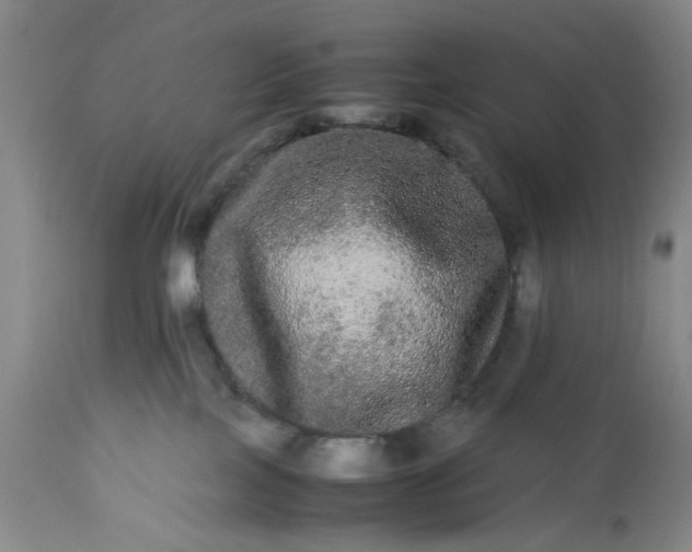 X0000113240089200909241556