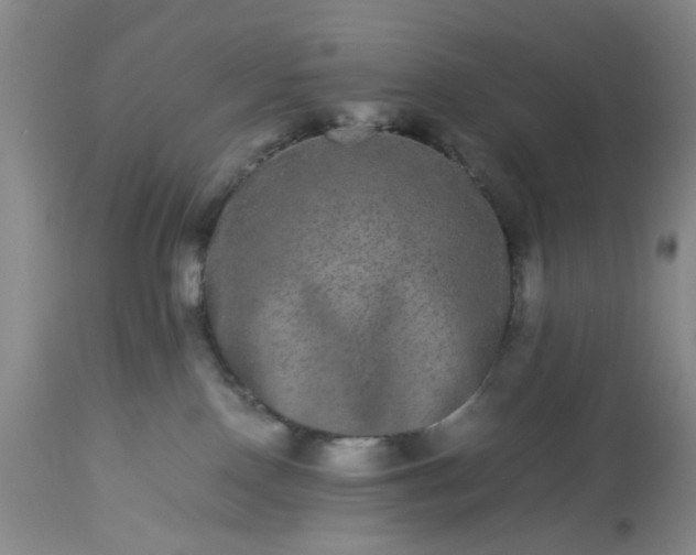 X0000113240090200909241556