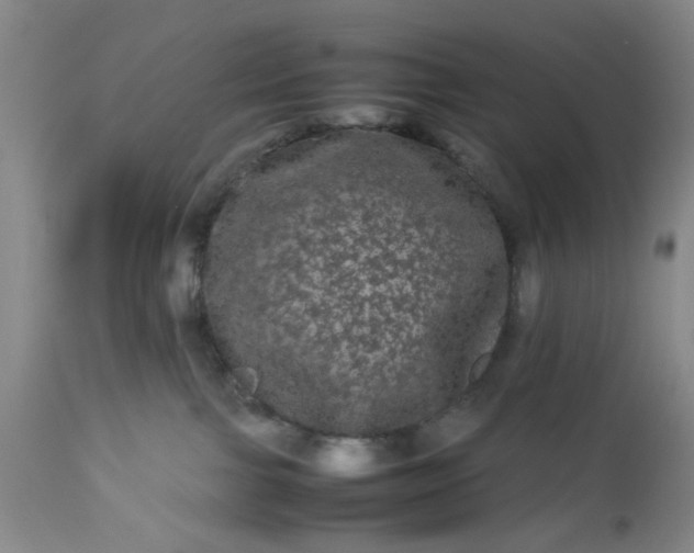 X0000113240091200909241557