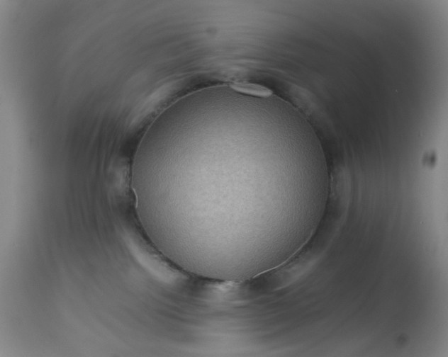 X0000113240092200909241557