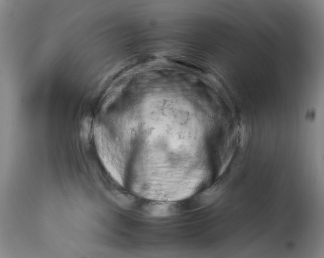 X0000113240093200909241557