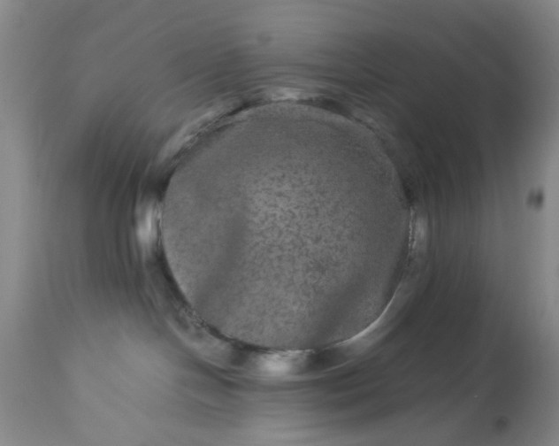 X0000113240094200909241557