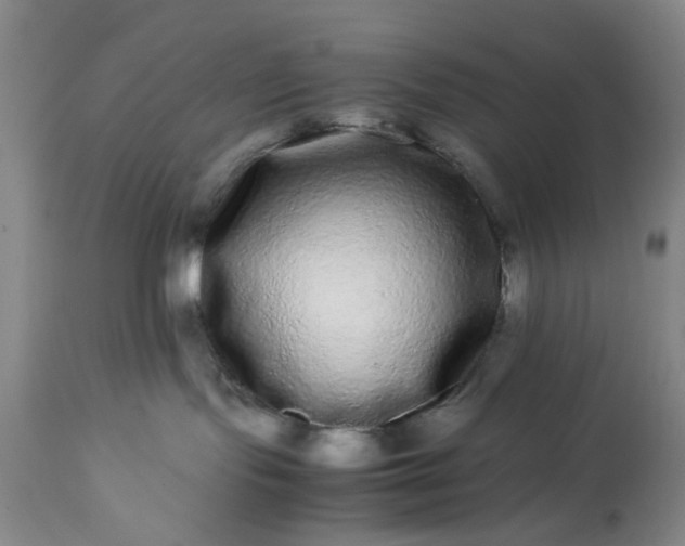 X0000113240095200909241557