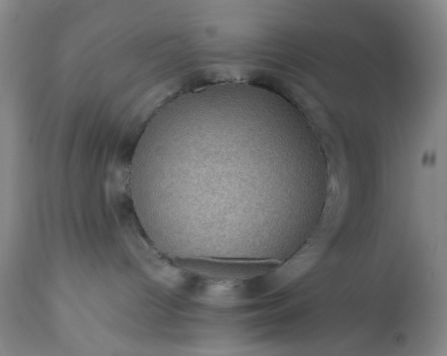 X0000113240096200909241557