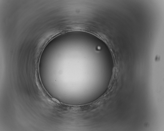 X0000113240097200909241556