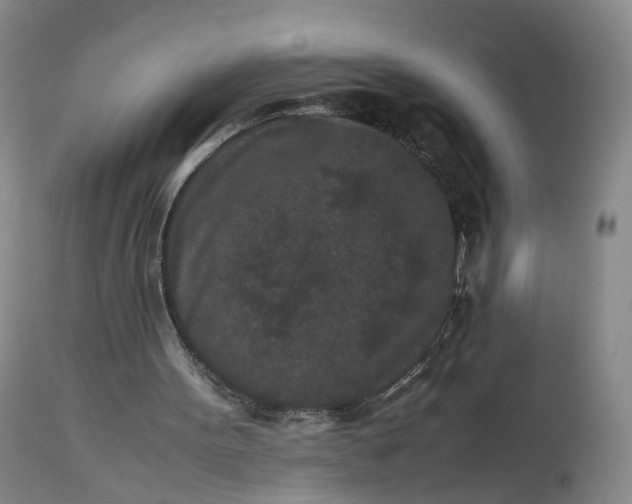 X0000113240099200909241556