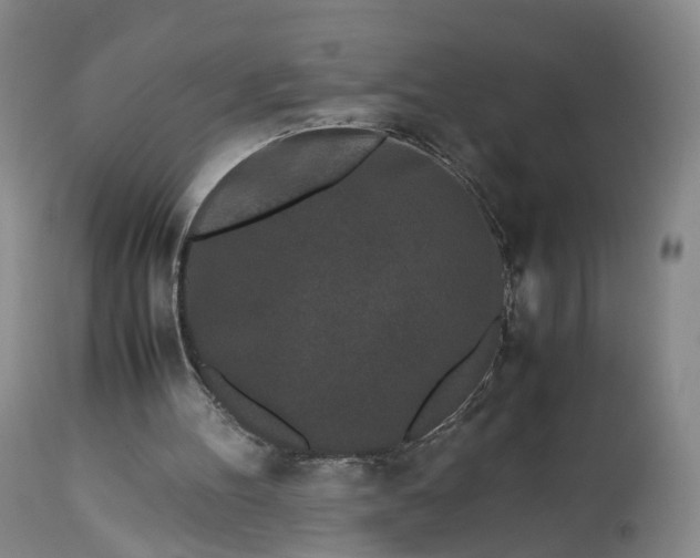 X0000113240100200909241556